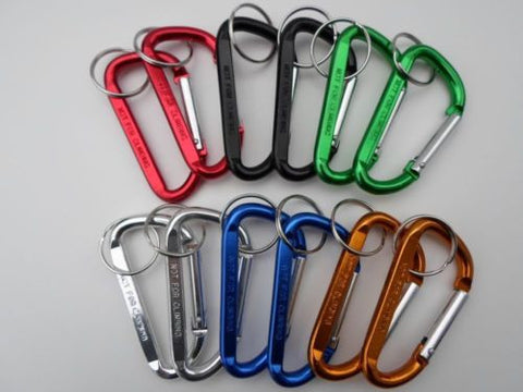 12 Piece Carabiner Clip Hook Key Chain